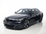 BMW 5-Series Sports Line by Wald 2009 года